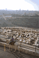[View from the Mount of Olives]